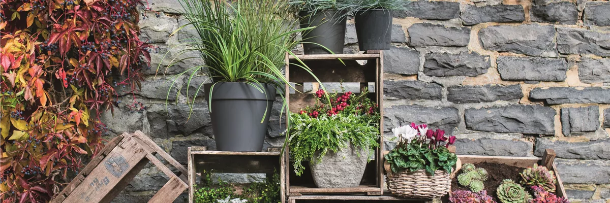 WIR SIND FEUER & FLAMME! 