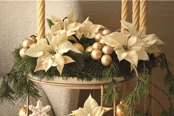 WILLKOMMEN IM FESTZAUBER!