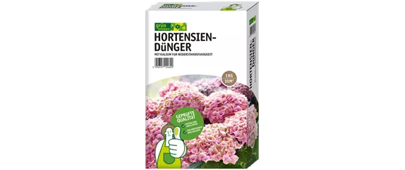 Hortensie