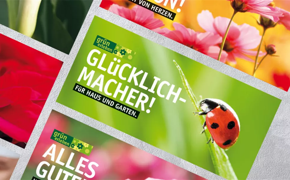 Gutschein selbst gestalten - Online gestalten und zuhause ausdrucken Gutschein selbst gestalten - Online gestalten und zuhause ausdrucken