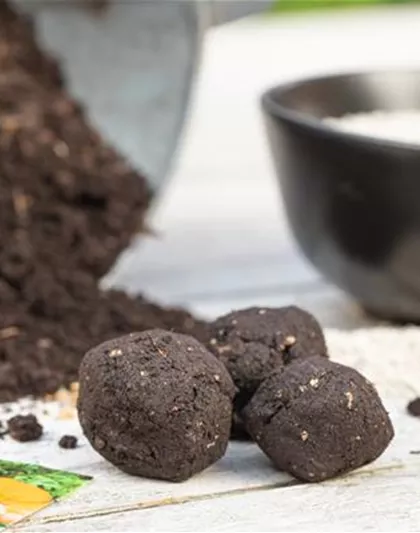 SAMENBOMBEN - BLüHENDE üBERRASCHUNG IM GARTEN SAMENBOMBEN - BLüHENDE üBERRASCHUNG IM GARTEN