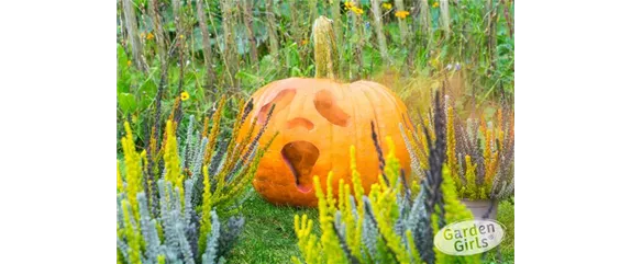 DEIN HERBST… GENUSS!